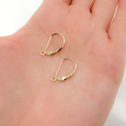 Gold Filled Plain Leverback with Ring Ear Wire